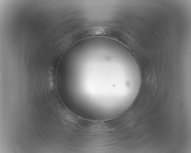 X0000054431442200508051820