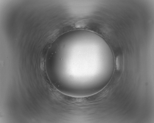 X0000054431443200508051820