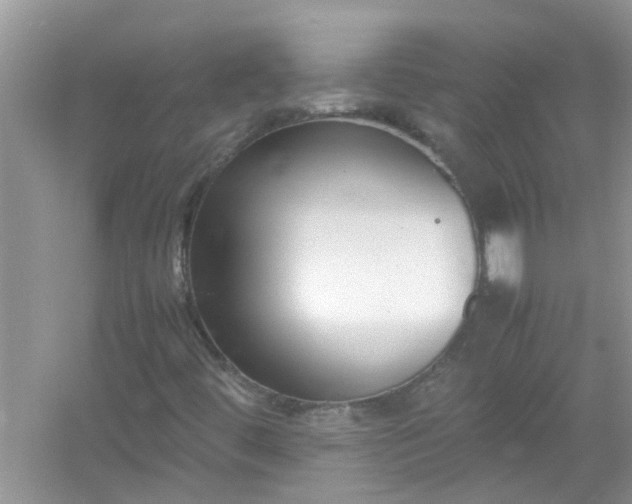 X0000054431444200508051820