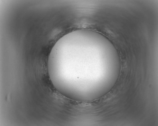 X0000054431446200508051820