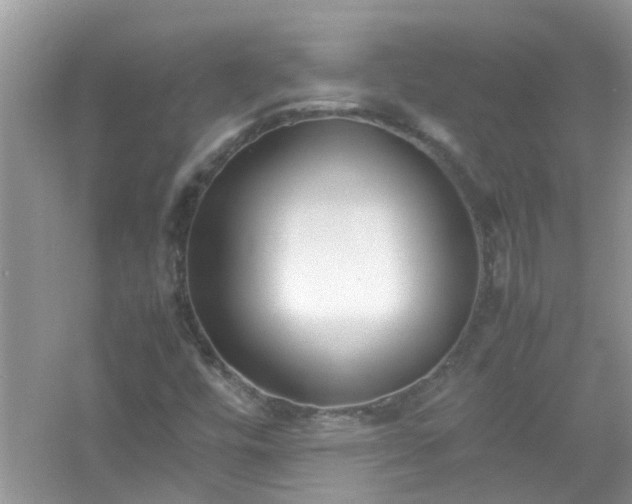 X0000054431448200508051820