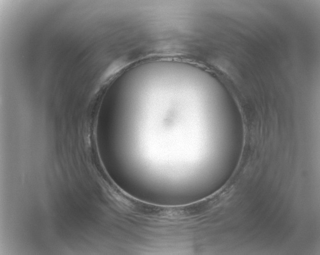 X0000054431451200508051820