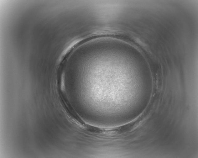 X0000054431453200508051820