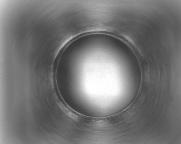 X0000054431460200508051820