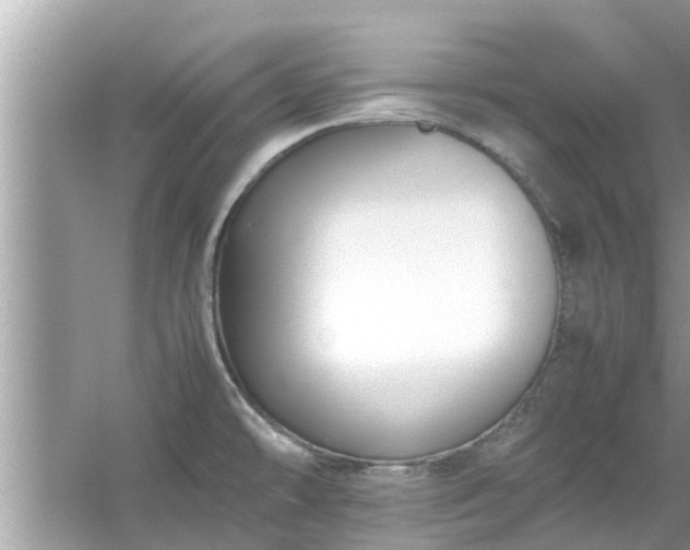 X0000054431478200508051820