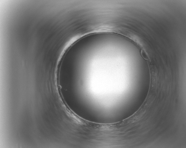 X0000054431480200508051820