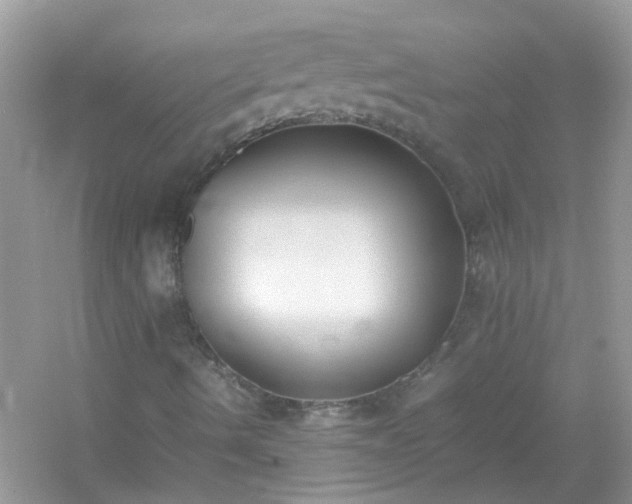 X0000054431490200508051819