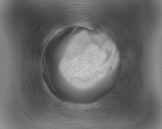 X0000054430002200508121830