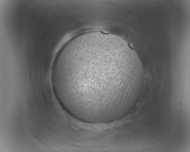 X0000054430006200508121830