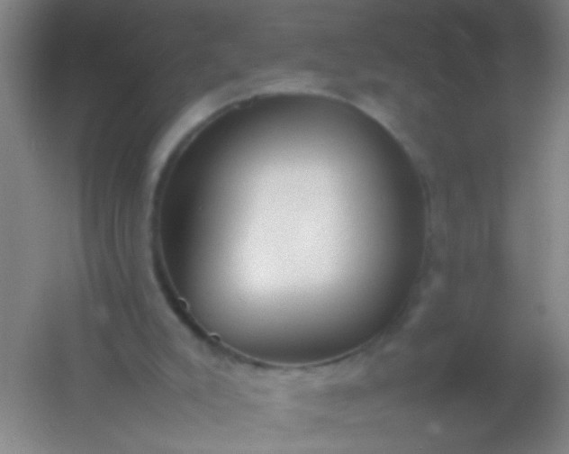 X0000054430007200508121830