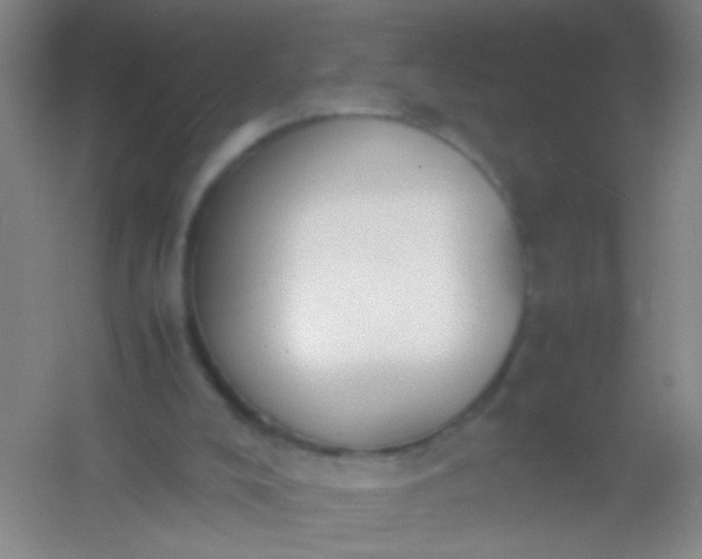 X0000054430008200508121830