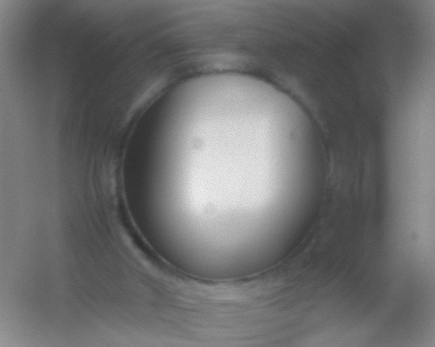 X0000054430010200508121830