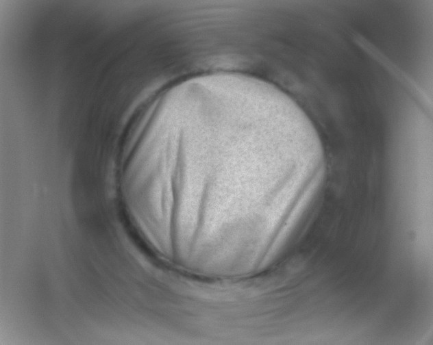 X0000054430012200508121830