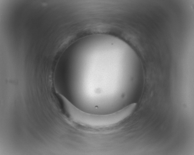 X0000054430017200508121830