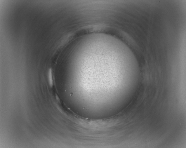 X0000054430022200508121830