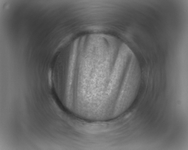 X0000054430024200508121830