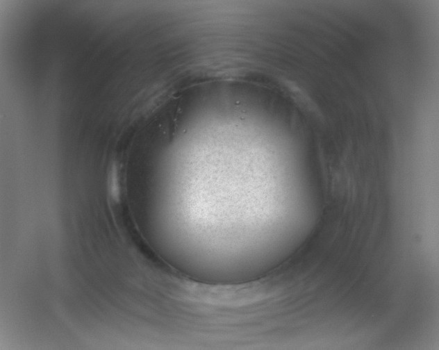 X0000054430026200508121830