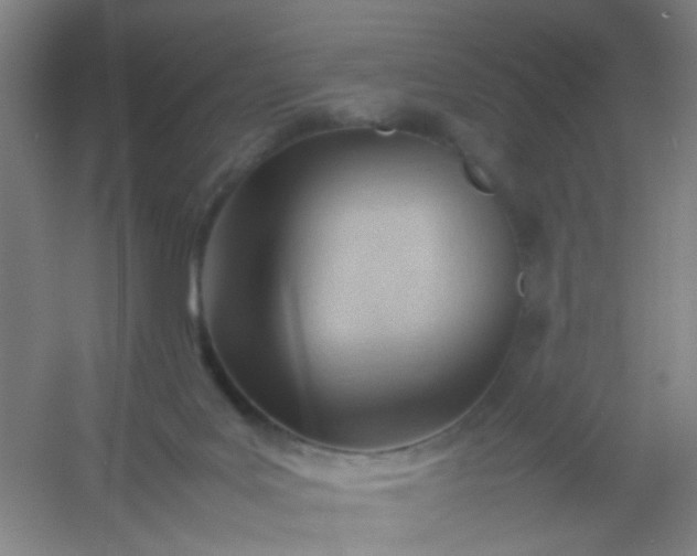 X0000054430027200508121830