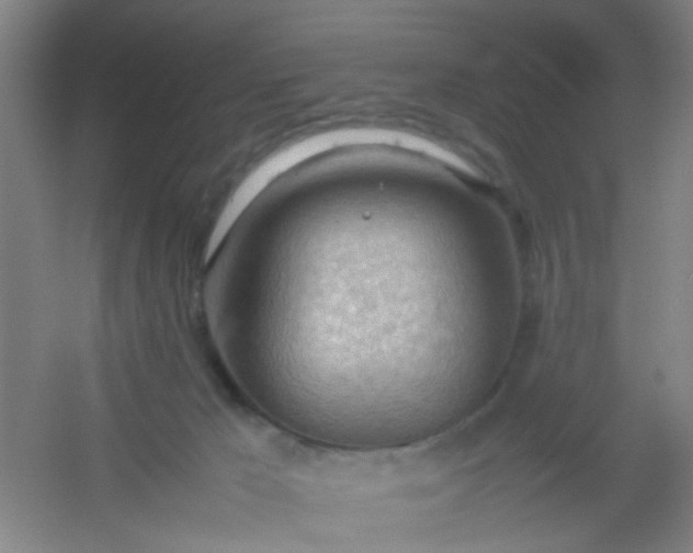 X0000054430029200508121830