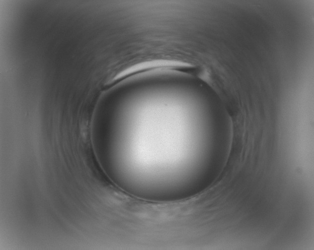 X0000054430033200508121830