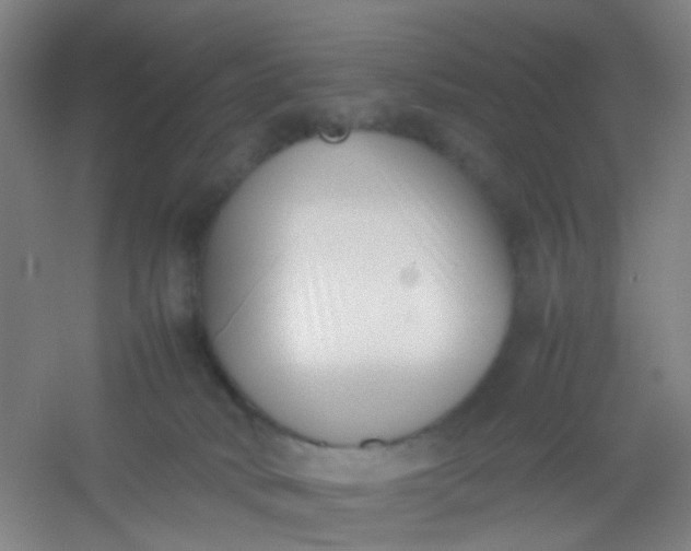 X0000054430034200508121830