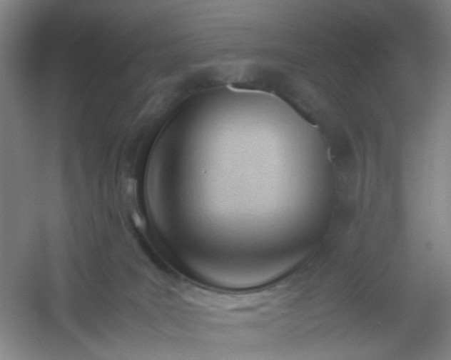 X0000054430035200508121830