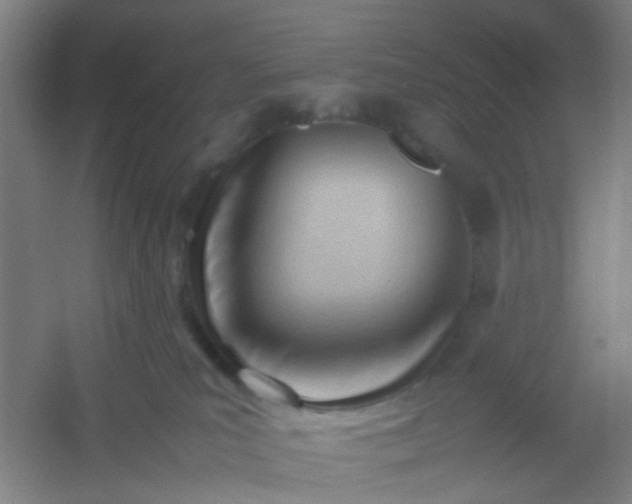 X0000054430039200508121830