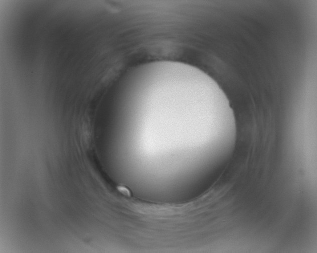 X0000054430040200508121830