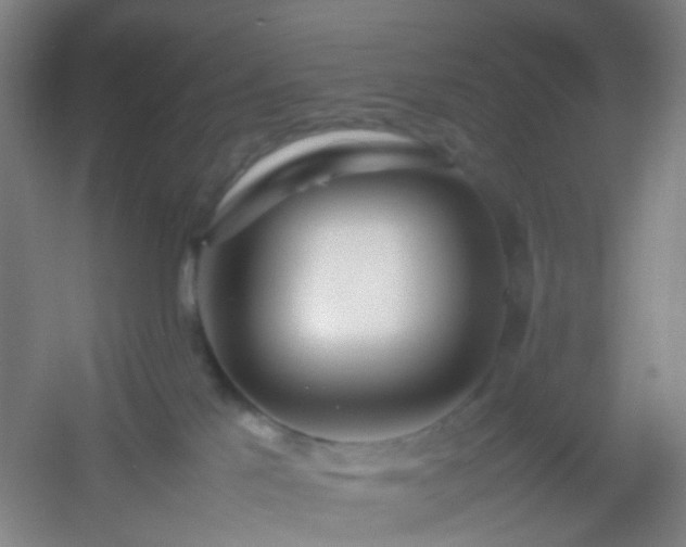 X0000054430041200508121830