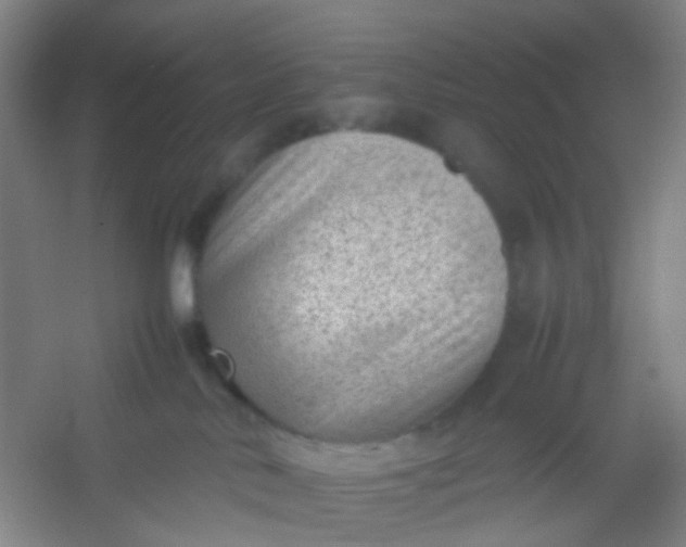 X0000054430042200508121830