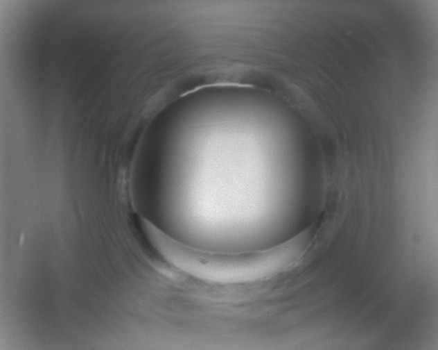 X0000054430045200508121830