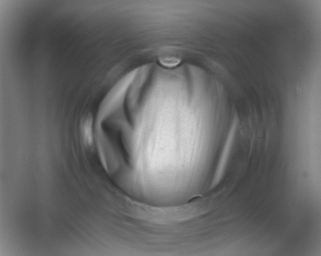 X0000054430046200508121830