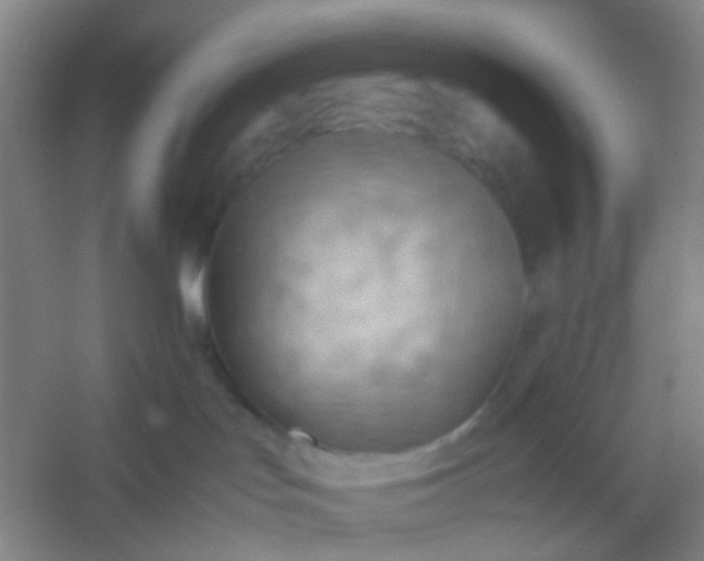 X0000054430047200508121830