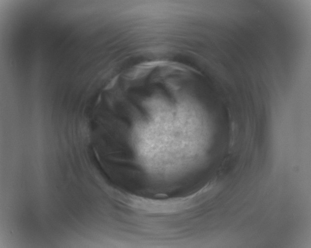 X0000054430048200508121830