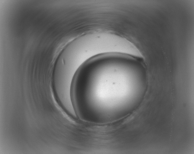 X0000054430049200508121829