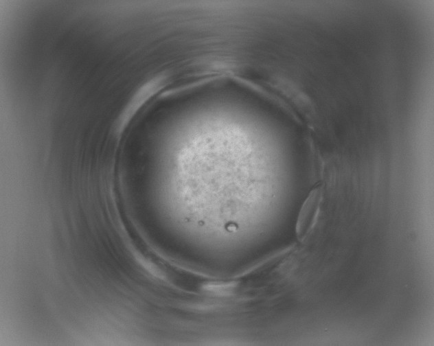 X0000054430051200508121829