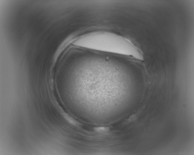 X0000054430053200508121829