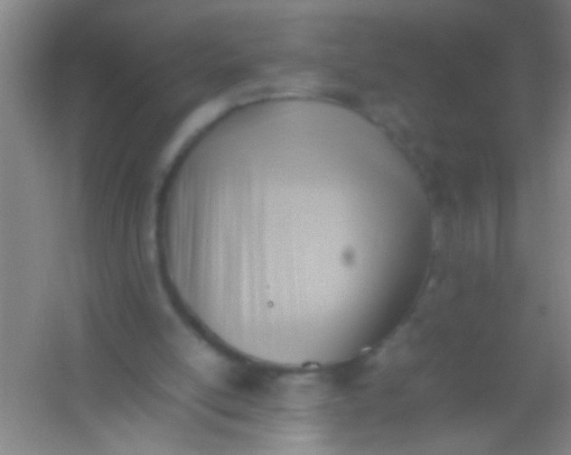 X0000054430054200508121829