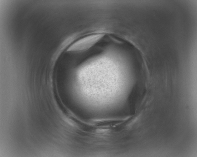 X0000054430055200508121829