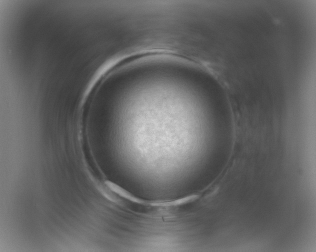 X0000054430056200508121829