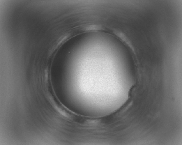 X0000054430057200508121829