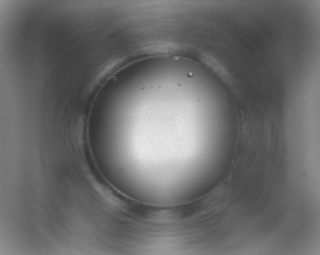 X0000054430058200508121829