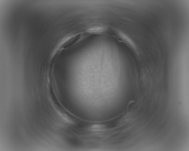 X0000054430059200508121829