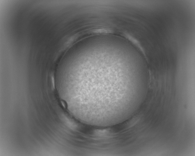 X0000054430061200508121829