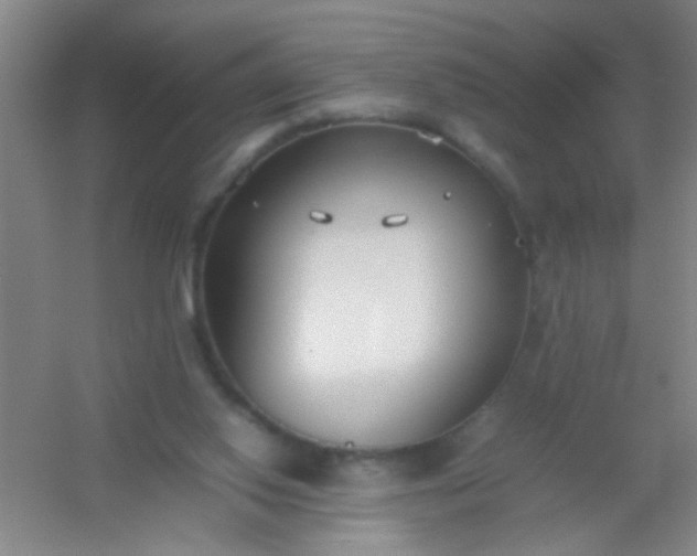 X0000054430062200508121829