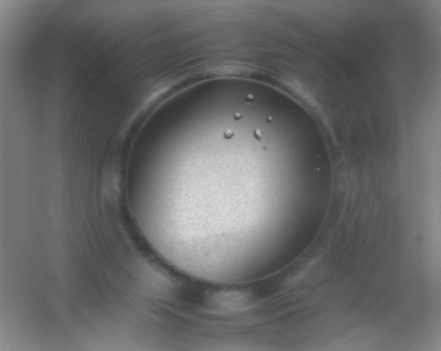 X0000054430063200508121829