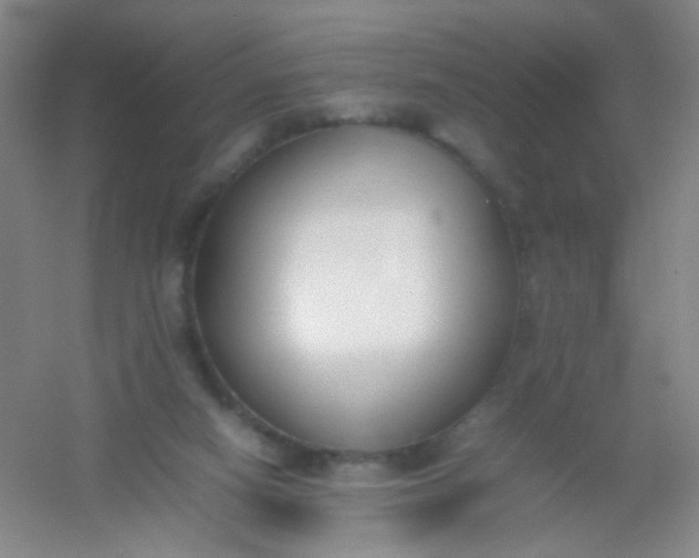 X0000054430066200508121829