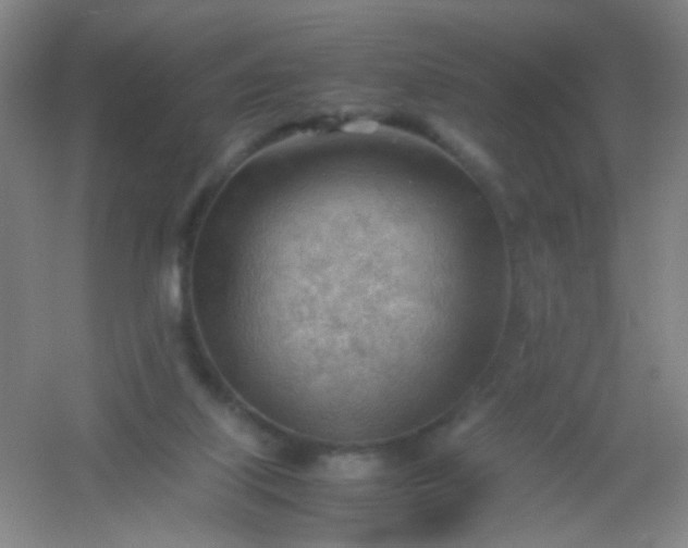 X0000054430067200508121829