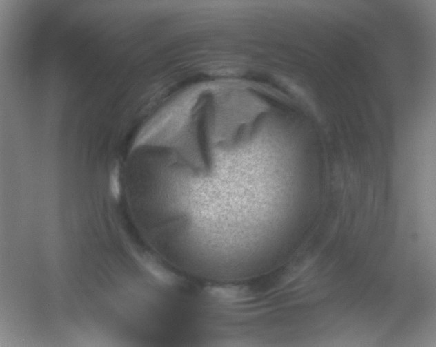 X0000054430069200508121829