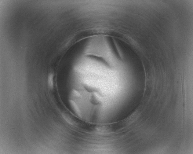 X0000054430070200508121829